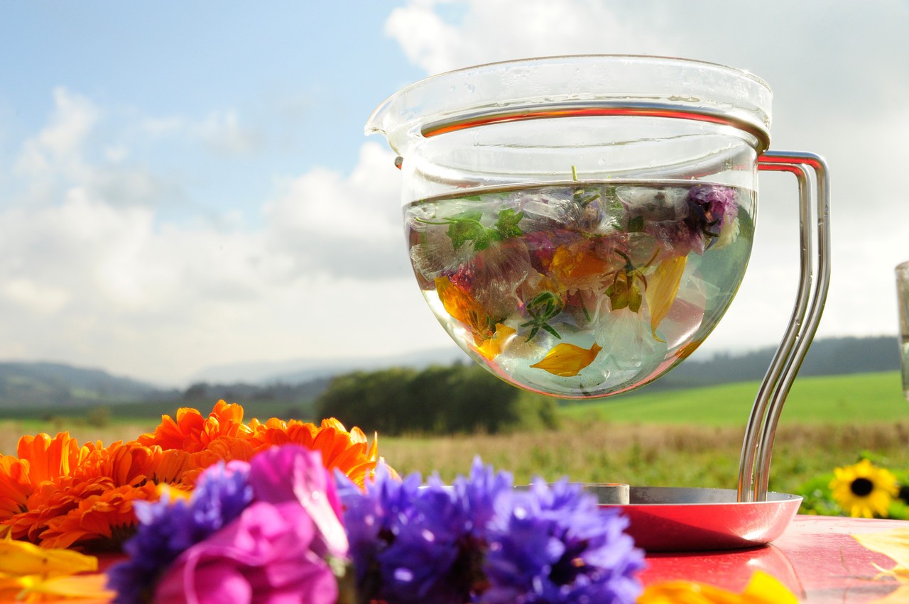 Tisane