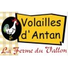 Volailles d'Antan